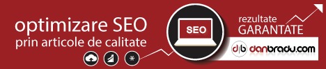 optimizare seo Braila 