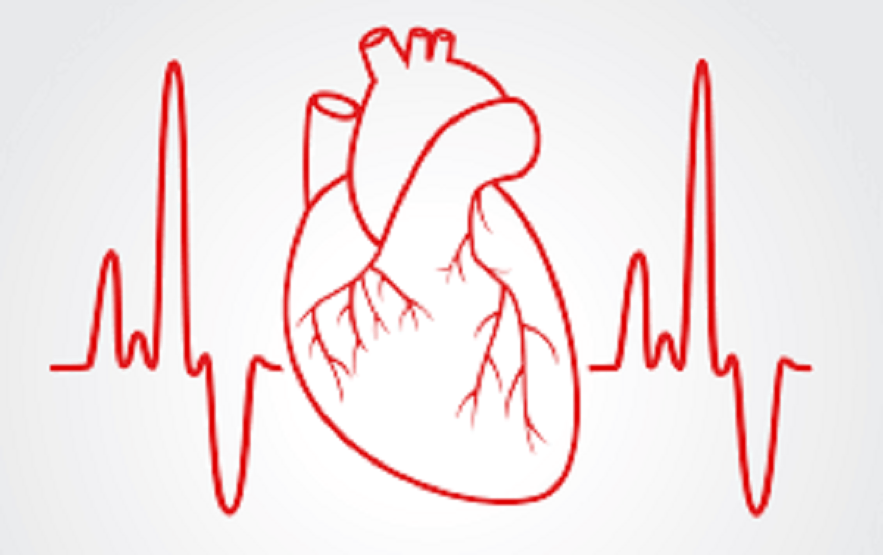 Electrocardiograme (ECG) si teste de rezistenta pentru exercitii fizice