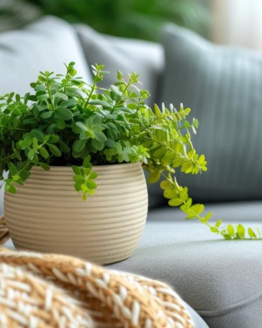 Ce materiale eco-friendly pot folosi în decorarea casei?